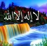 مستر ياسر إبراهيم